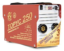 Сварочный аппарат ТОРУС 250 НАКС