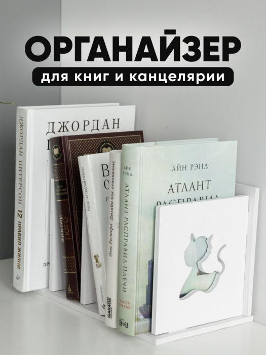 Органайзер для книг канцелярии настольный офисный Подставка для учебников и тетрадей школьника на стол