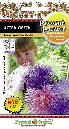 Астра смесь Русский Размер I 0,3г НК
