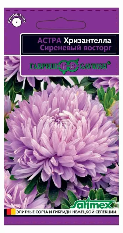 Астра Хризантелла Сиреневый восторг 0,05г Гавриш