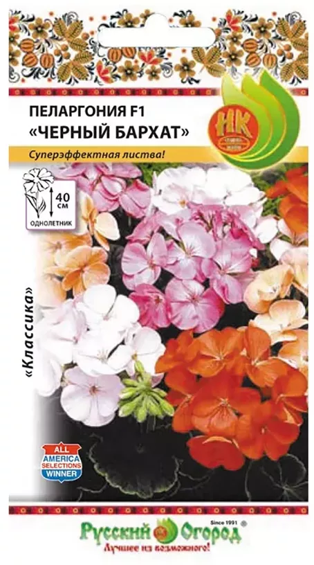 Пеларгония Черный бархат смесь 5шт НК