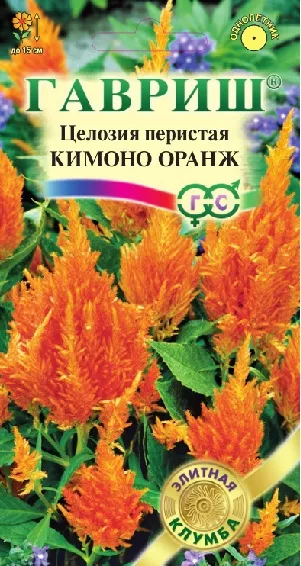 Целозия перистая Кимоно Оранж 10шт Гавриш
