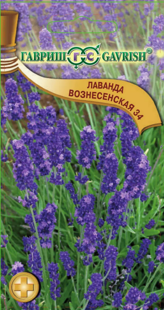 Лаванда Вознесенская 34 0,05г Гавриш