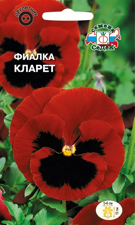 Фиалка Кларет 0,05г Седек