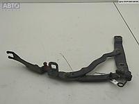 Петля крышки (двери) багажника BMW Z4 E85/E86 (2002-2008)