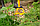 Бур садовый Торнадика "Супер бур Комбо" TORNADO для тяжелой почвы, глубина бурения 1.2 м, фото 8
