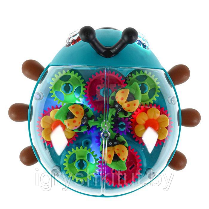 Музыкальная игрушка Божья коровка, прозрачный корпус, цветные шестеренки - фото 6 - id-p211716172