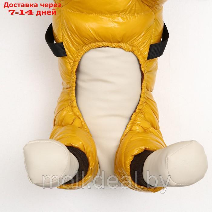 Комбинезон для собак со шлейкой "Моден", размер 10 (ДС 25, ОГ 34, ОШ 24 см), жёлтый - фото 5 - id-p211698349