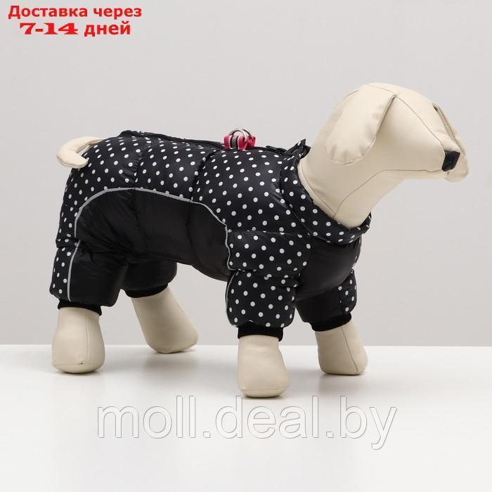 Комбинезон для собак "Горошек", размер 10 (ДС 25, ОГ 34, ОШ 24 см), чёрный - фото 1 - id-p211698359