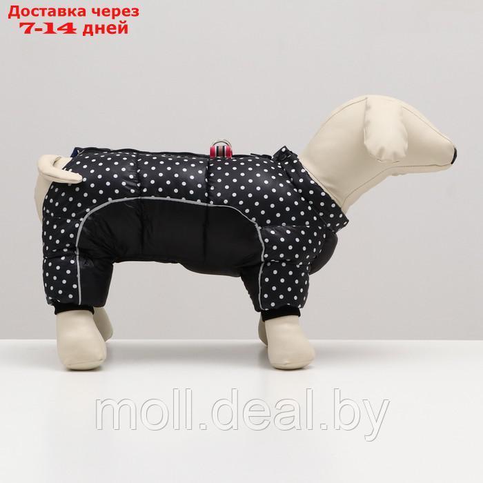 Комбинезон для собак "Горошек", размер 10 (ДС 25, ОГ 34, ОШ 24 см), чёрный - фото 2 - id-p211698359