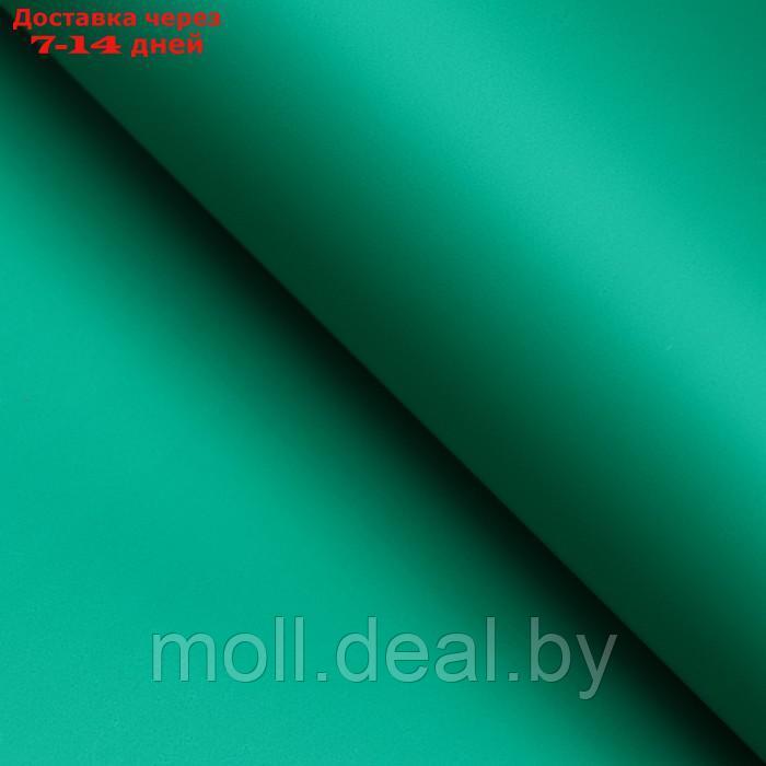 Пленка матовая, базовые цвета, зелёная, 0,5 х 10 м, 65 мкм - фото 2 - id-p211319626