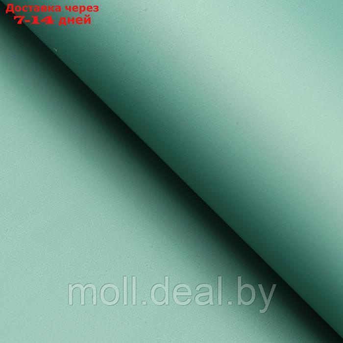Пленка матовая, базовые цвета, серо-зелёный, 0,5 х 10 м, 65 мкм - фото 2 - id-p211319637
