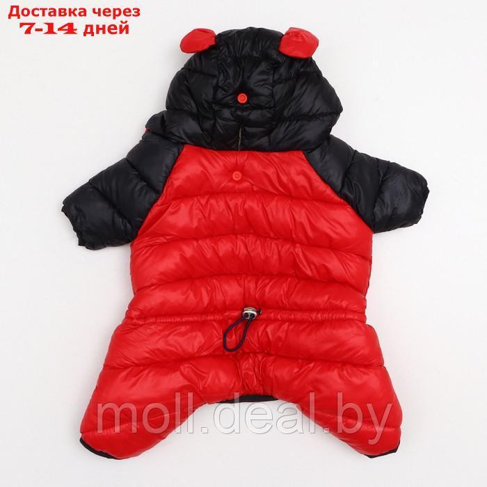 Комбинезон "Медвежонок", размер 16 (ДС 36 см, ОГ 46 см, ОШ 35 см), чёрно-красный - фото 9 - id-p211698412