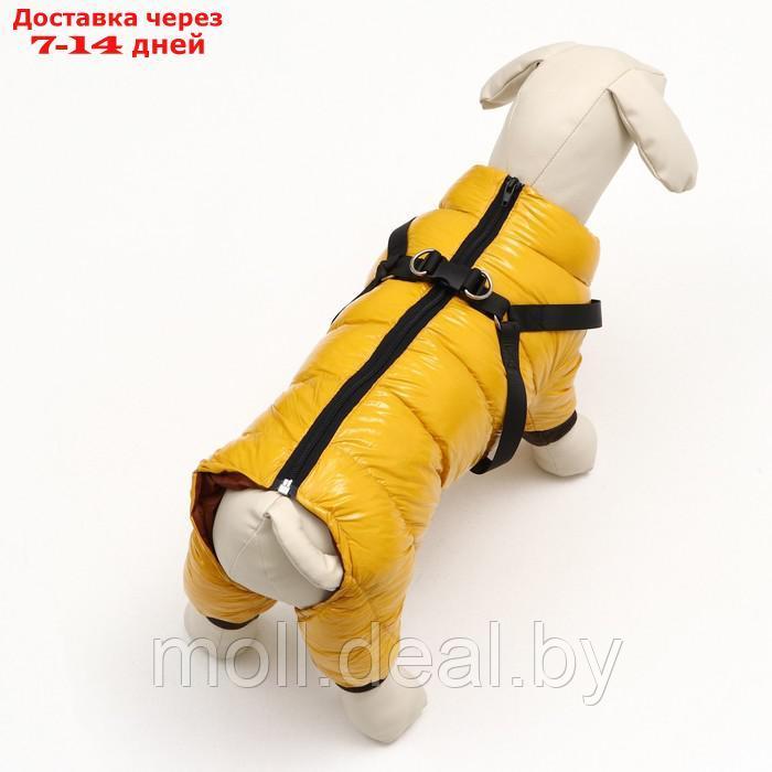 Комбинезон для собак со шлейкой "Моден", размер 8 (ДС 23, ОГ 30, ОШ 22 см), жёлтый - фото 3 - id-p211698423