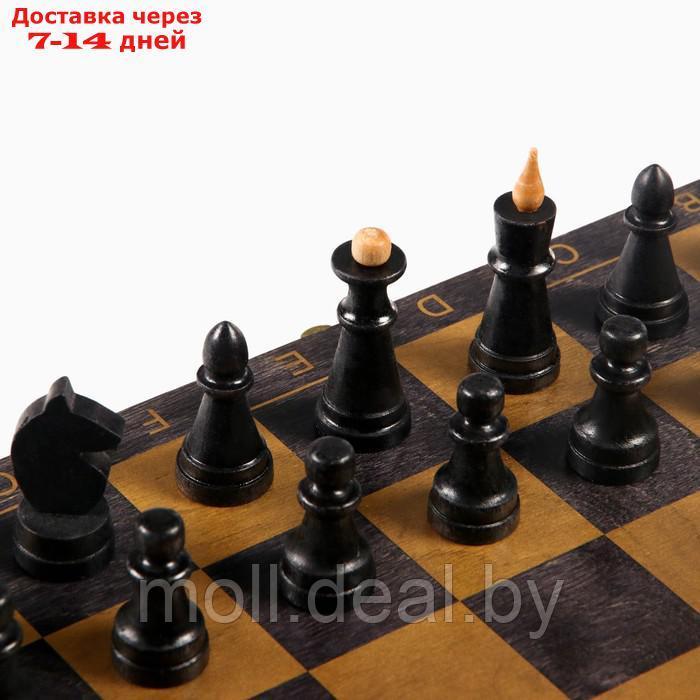 Настольная игра 3 в 1 "Классика": нарды шахматы, шашки, доска 40 х 40 см - фото 4 - id-p211706804