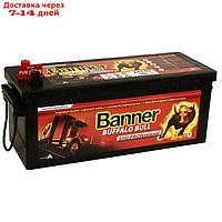 Аккумуляторная батарея Banner 145 Ач Buffalo Bull 645 03 SHD, PROfessional