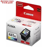 Картридж струйный Canon CL-441XL 5220B001 многоцветный для Canon MG2140/3140