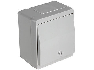 Выключатель кнопочный (открытый) серый, NEMLIYER, MUTLUSAN (10 A, 250 V, IP 44)