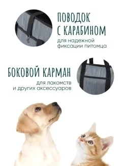 Сумка-переноска на плечо для собак и кошек до 3,5 кг (бирюзовый) - фото 5 - id-p211722189