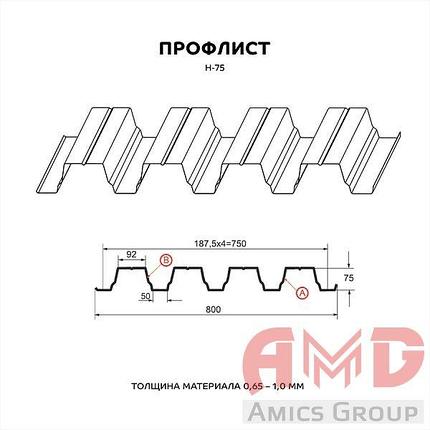 Профилированный лист Н-75 х 800 - А, В глянец Стандарт 0,70мм, фото 2