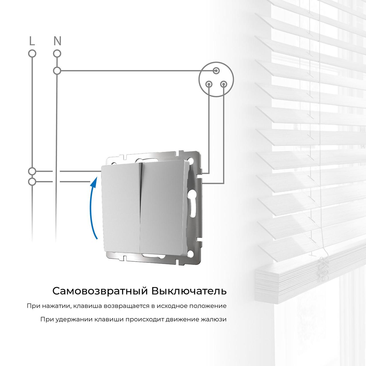 Выключатель двухклавишный с самовозвратом (серебряный) W1122406 - фото 2 - id-p211886531