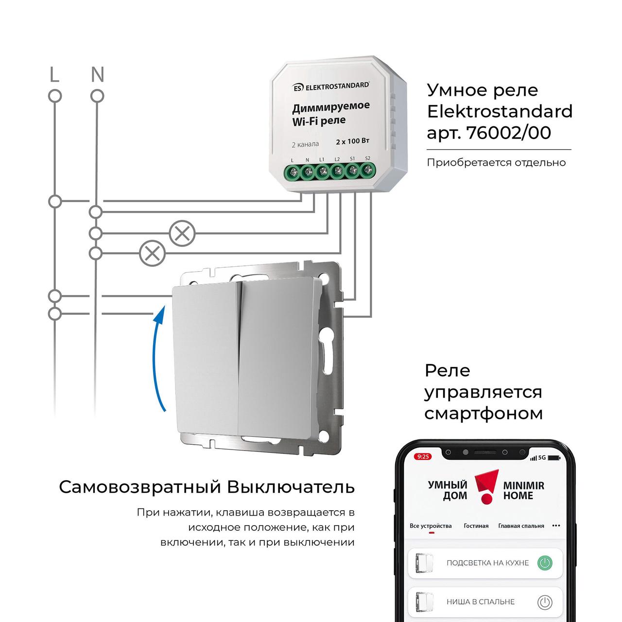 Выключатель двухклавишный с самовозвратом (серебряный) W1122406 - фото 3 - id-p211886531