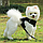Шлейка прогулочная с поводком для собак и кошек мелких и средних пород Pet Leash / Дышащий жилет для животных, фото 2
