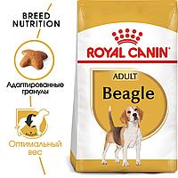 Сухой корм ROYAL CANIN Beagle для собак породы бигль с 10 месяцев (3 кг)