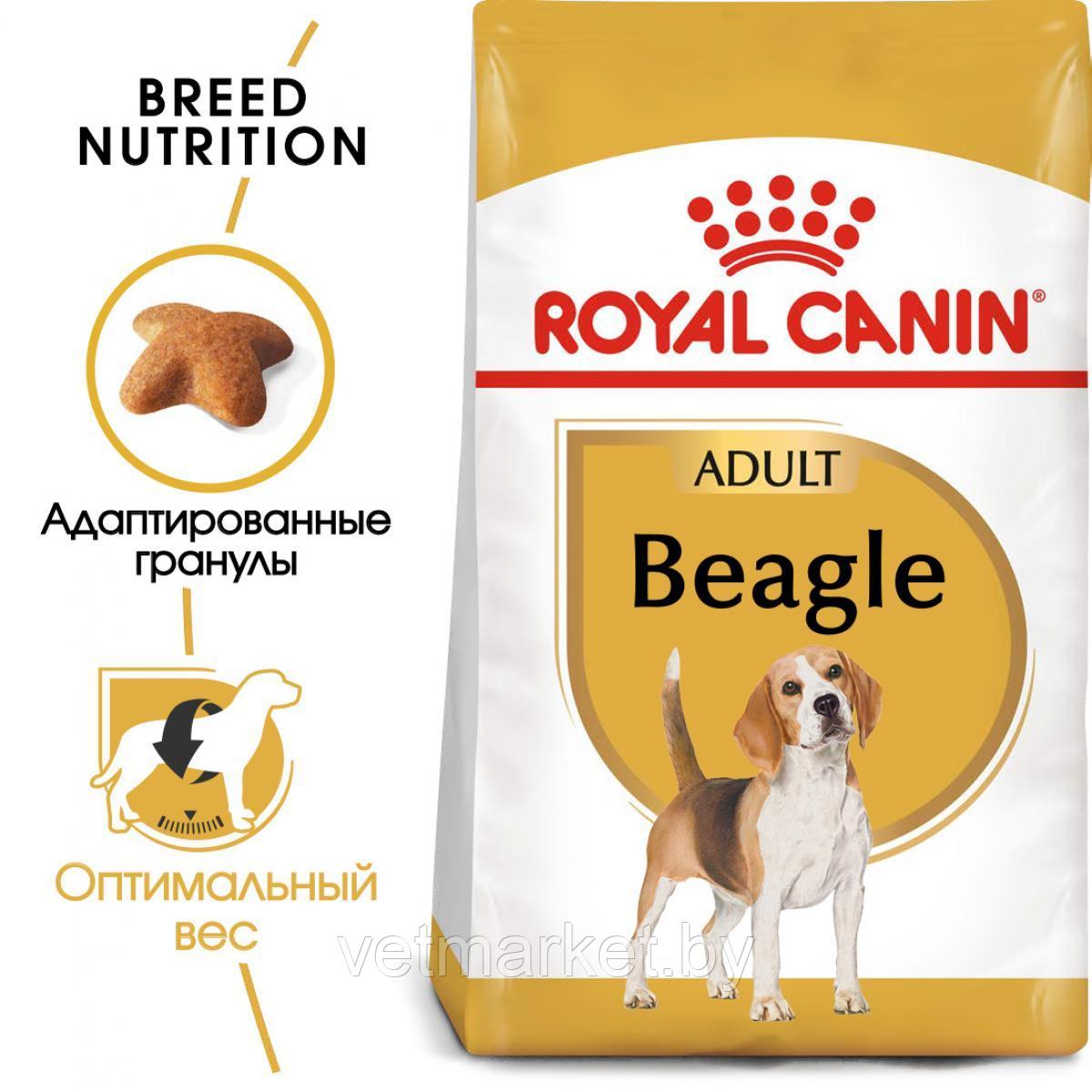 Сухой корм ROYAL CANIN Beagle для собак породы бигль с 10 месяцев (3 кг) - фото 1 - id-p211904353