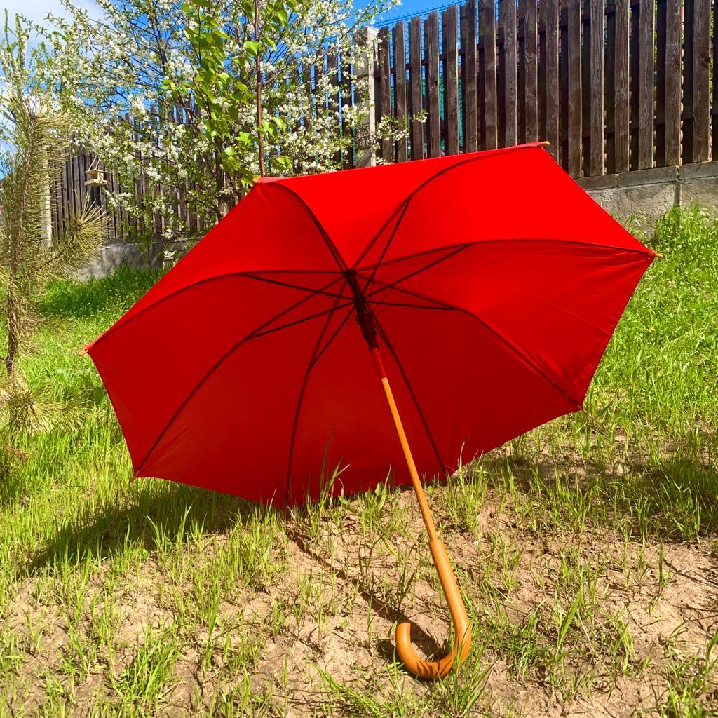 Зонт-трость универсальный Arwood Полуавтоматический / деревянная ручка Синий - фото 2 - id-p211951707