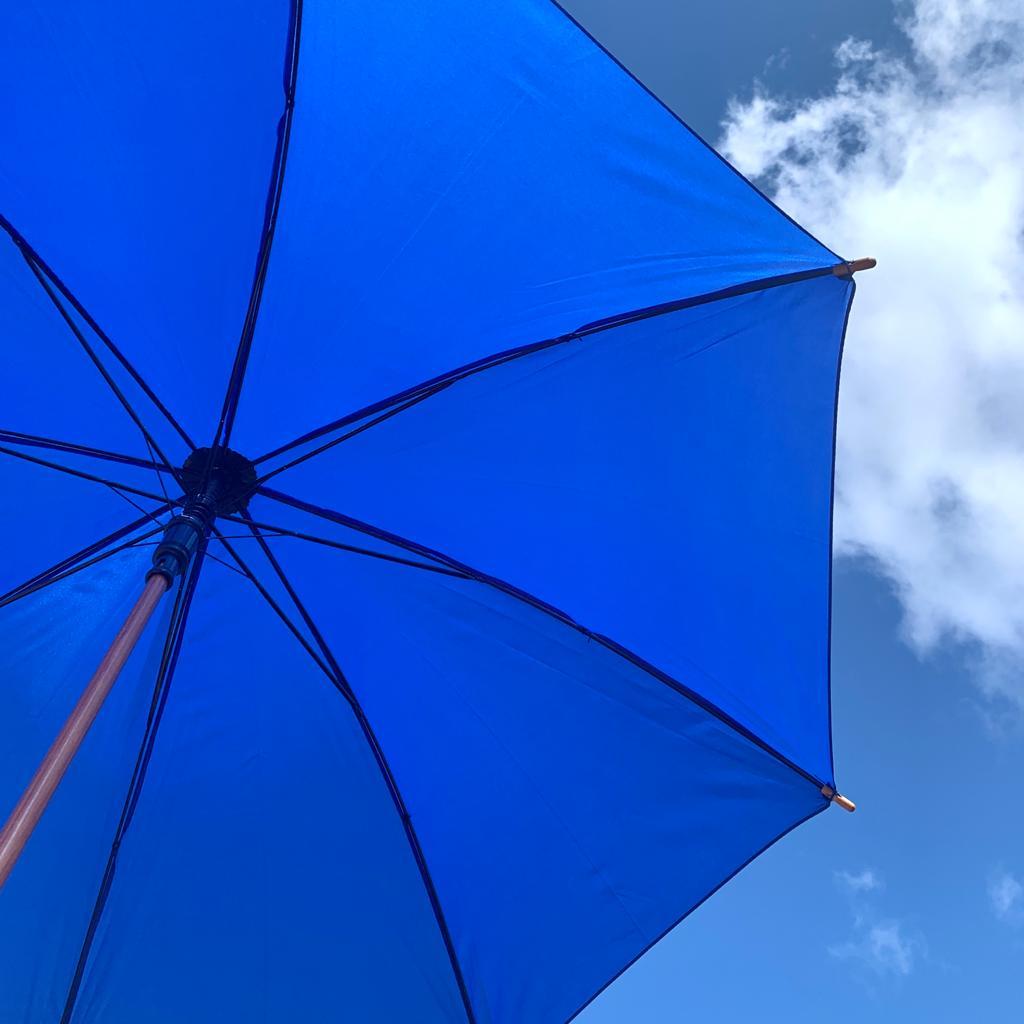 Зонт-трость универсальный Arwood Полуавтоматический / деревянная ручка Синий - фото 8 - id-p211951707