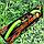 Игровой набор: Светящийся лук и стрелы на присосках Archery Set 881-23A, 6+ Зеленый, фото 4