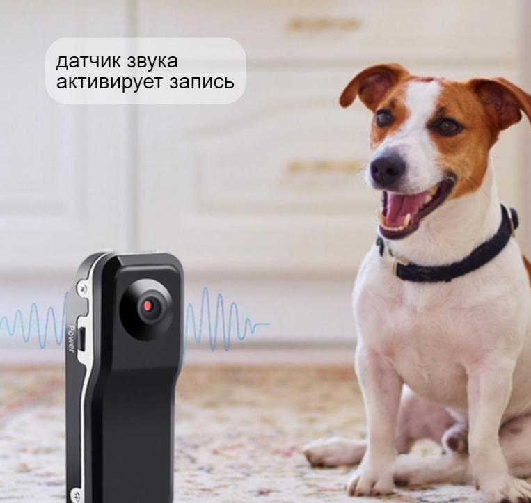 Персональный видеорегистратор/мини диктофон Mini Dv World Smallest Voice - фото 2 - id-p181596364