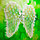 Карнавальный костюм Крылья Ангела (крылышки ангела, крепление резиночки на руки), фото 4