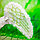 Карнавальный костюм Крылья Ангела (крылышки ангела, крепление резиночки на руки), фото 7