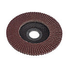 Круг лепестковый торцевой, 125 x 22.2 мм, зернистость Р24 "HEADROCK", фото 2