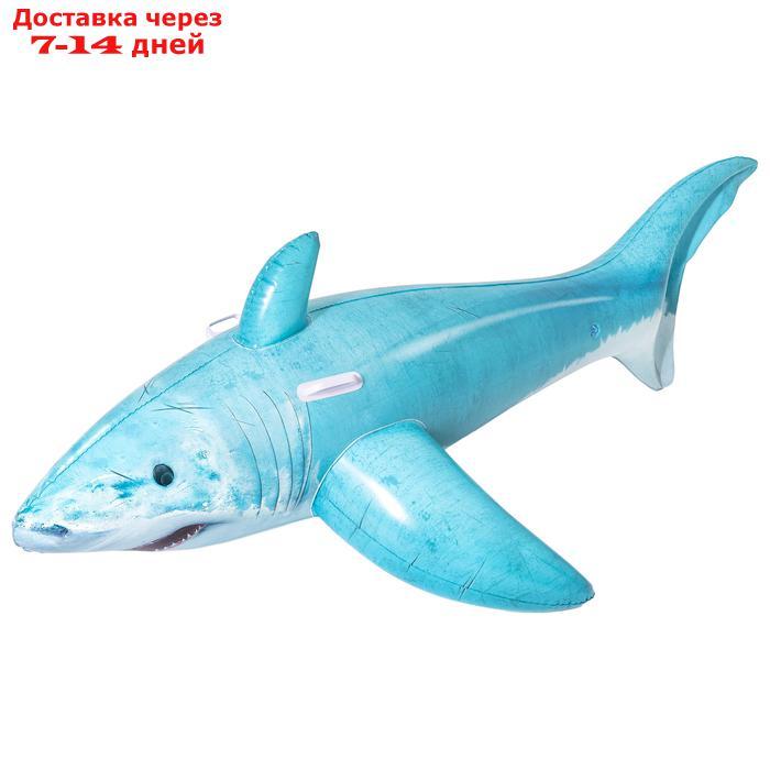 Игрушка надувная для плавания "Акула", 183 x 102 см, 41405 Bestway - фото 1 - id-p211962872