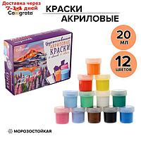 Краска акриловая художественная в наборе, 12 цветов х 20 мл Calligrata, морозостойкая, в картонной коробке