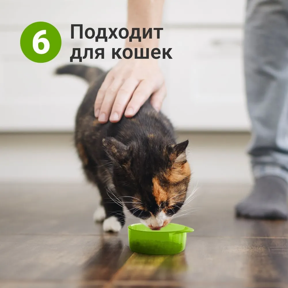 Дорожная бутылка поилка - кормушка для собак и кошек Pet Water Bottle 2 в 1 - фото 4 - id-p212052853