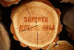 Защита древесины