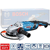 Угловая шлифмашина GWS 30-230 PB Professional BOSCH (06018G1100)