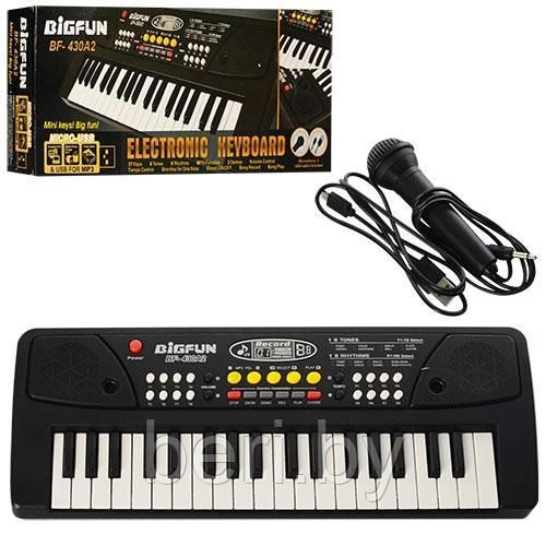 Детский синтезатор пианино BIGFUN BF-430A2 USB, с MP3 плеером, микрофоном - фото 1 - id-p212221683
