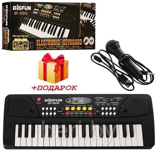 Детский синтезатор пианино BIGFUN BF-430A2 USB, с MP3 плеером, микрофоном - фото 2 - id-p212221683
