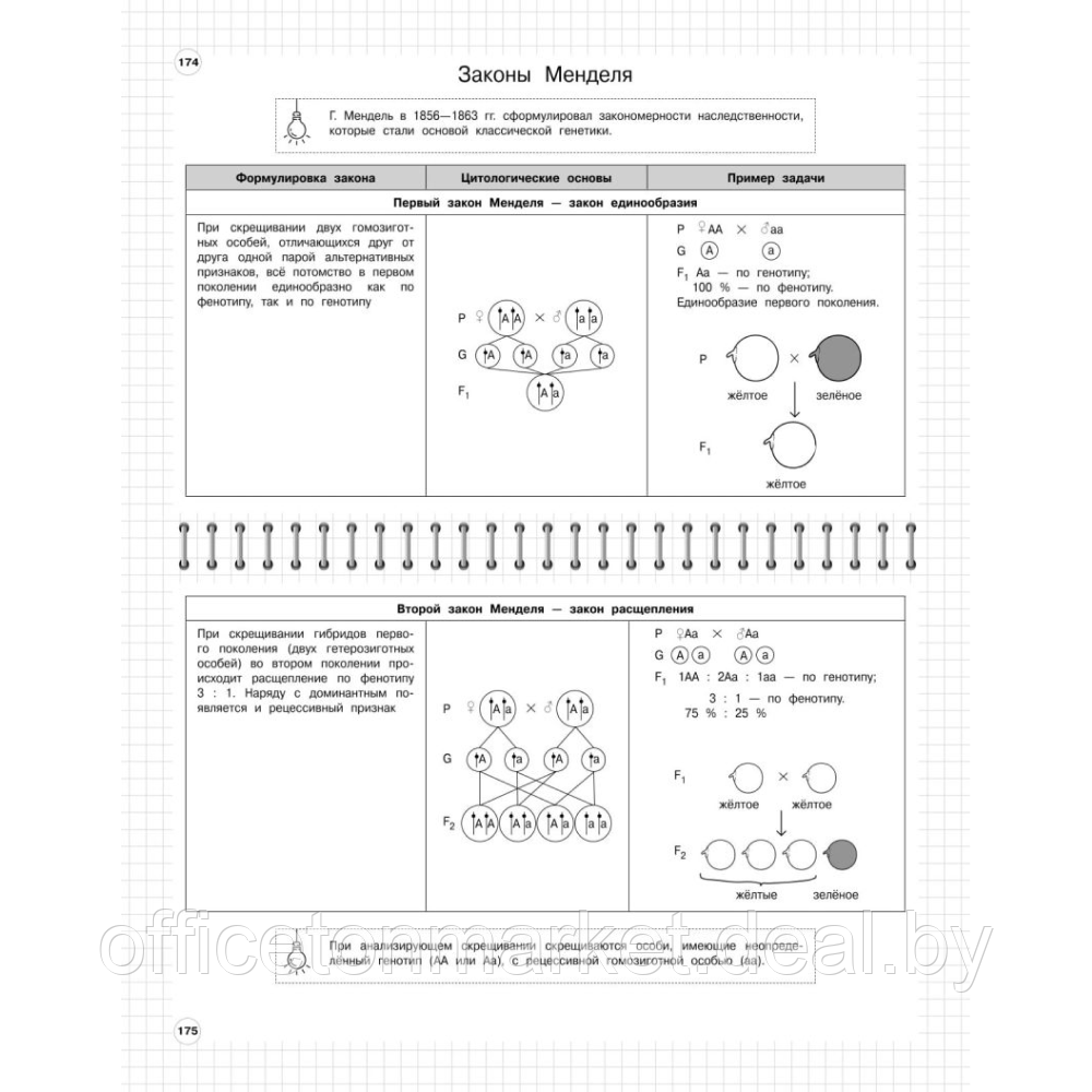 Книга "Школьный курс в наглядных таблицах. Биология: 5-11 классы", Мазур О., Никитинская Т. - фото 5 - id-p212220824