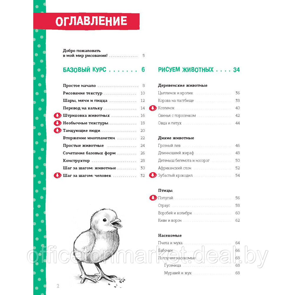 Книга "Пошаговый курс рисования для детей (с дополнительными материалами для скачивания)", Кекк Гекко - фото 2 - id-p212271026