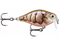 Воблер Rapala X-Light Crank Shallow Runner 03, PUPU