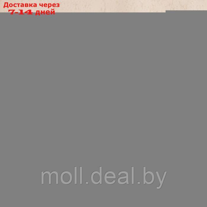 Клеёнка столовая на нетканой основе Доляна "Мини", ширина 137 см, рулон 20 м, цвет бежевый - фото 3 - id-p212288772