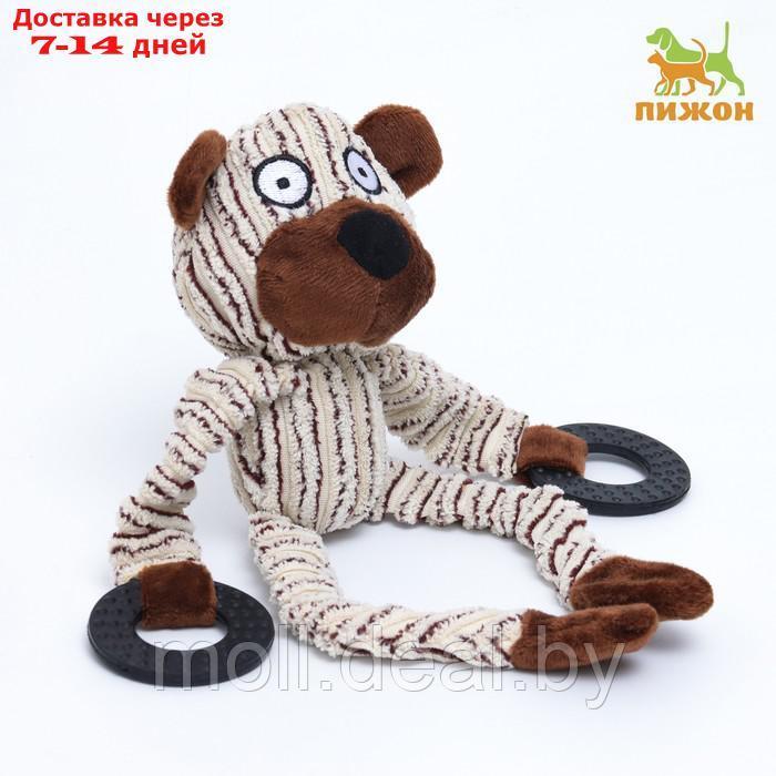 Игрушка текстильная с резиновыми кольцам "Медведь", 26 х 10 см - фото 1 - id-p212288975