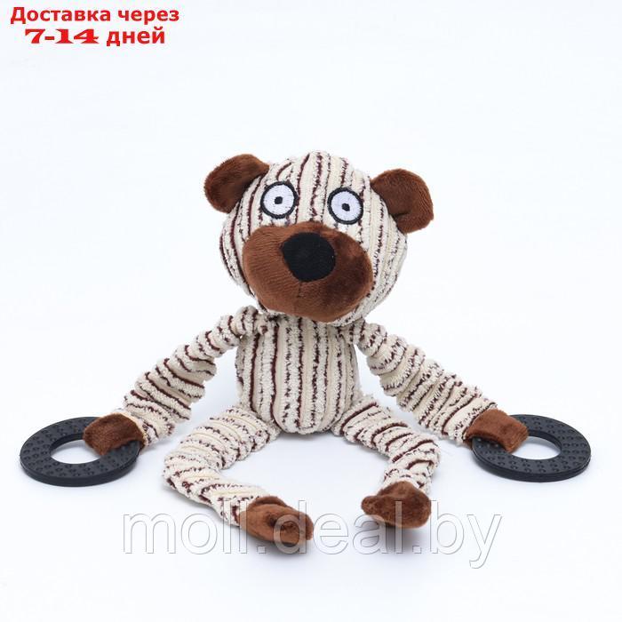 Игрушка текстильная с резиновыми кольцам "Медведь", 26 х 10 см - фото 2 - id-p212288975