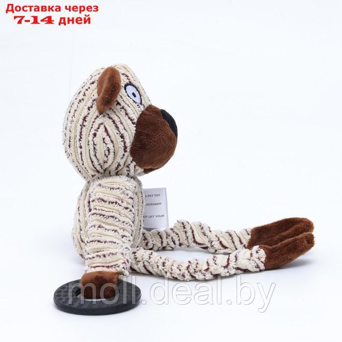 Игрушка текстильная с резиновыми кольцам "Медведь", 26 х 10 см - фото 3 - id-p212288975